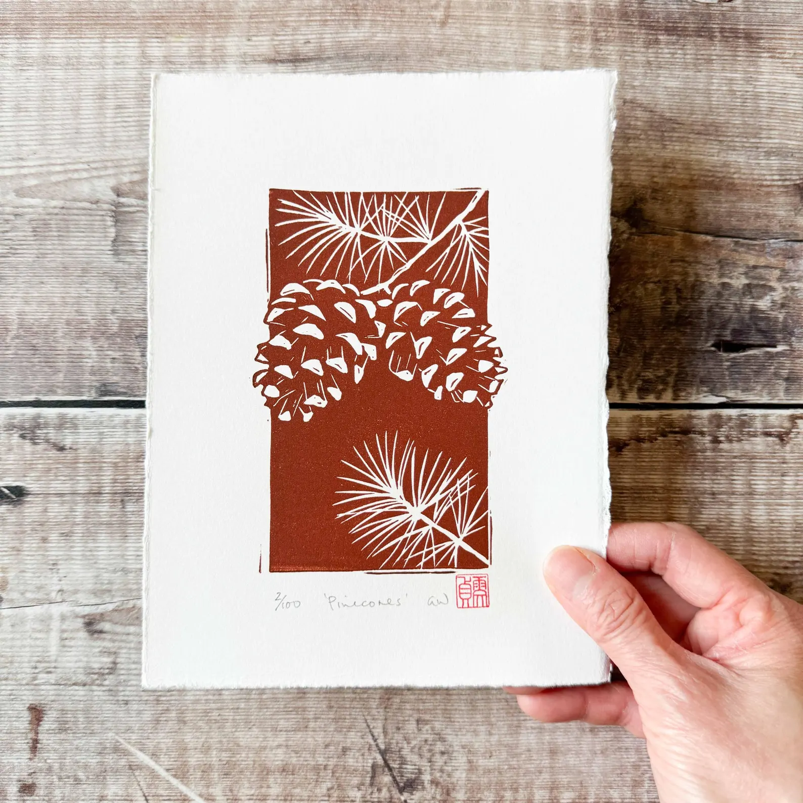 Pinecones Linocut print by Grace Wong